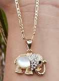 Elefante con cadena